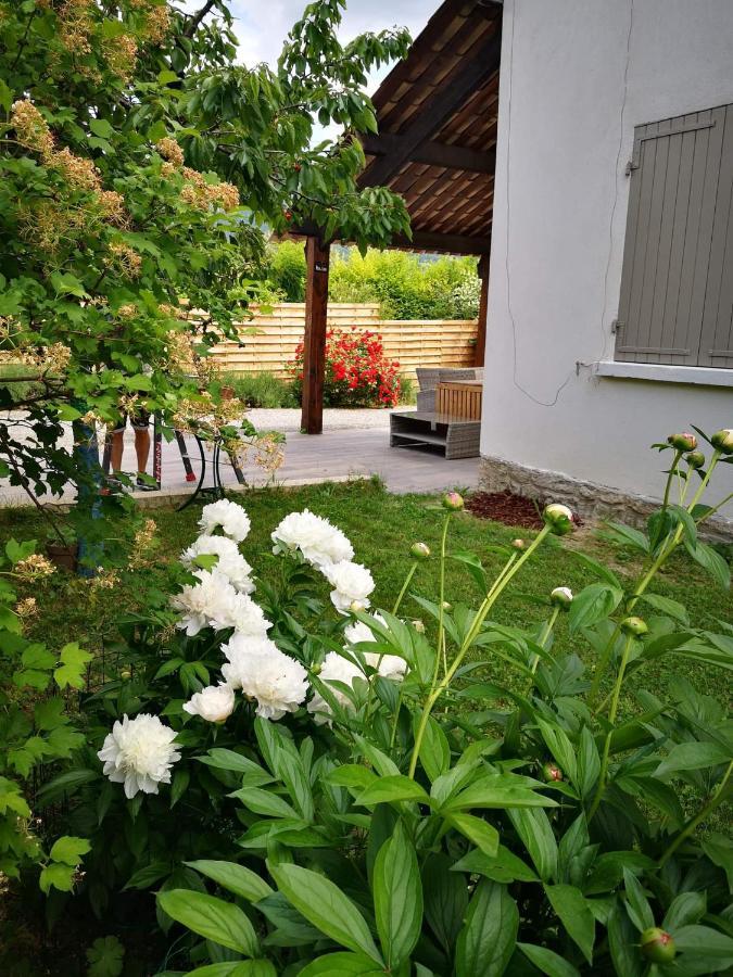 Maison 3 Etoiles Avec Jardin Pour Familles, Sportifs, Curistes... Digne-les-Bains Exterior photo
